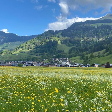 Haus Diedams Schoppernau Exteriör bild