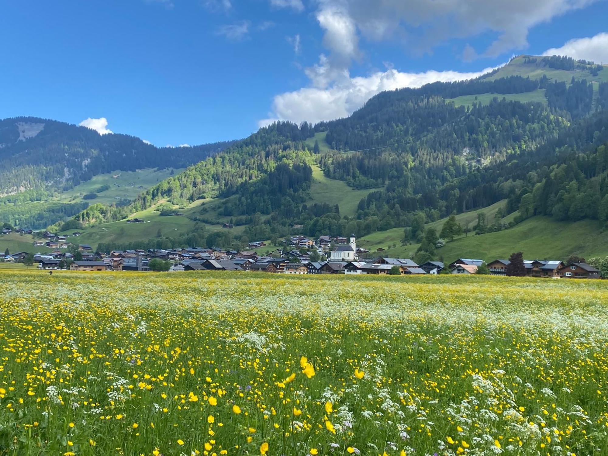 Haus Diedams Schoppernau Exteriör bild