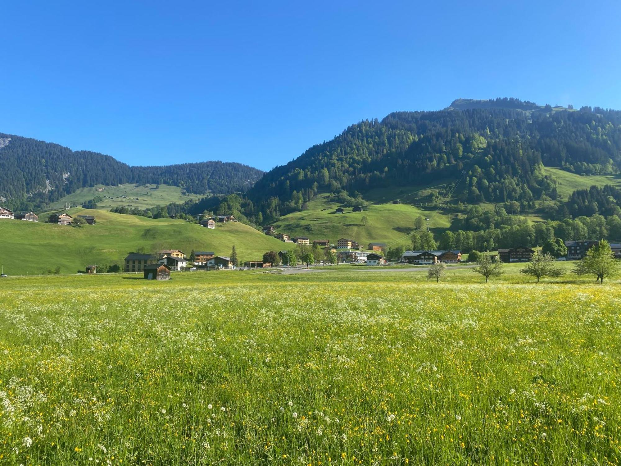 Haus Diedams Schoppernau Exteriör bild