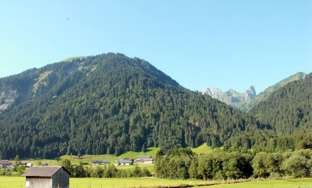 Haus Diedams Schoppernau Exteriör bild